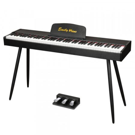 Цифровое фортепиано EMILY PIANO D-47 BK