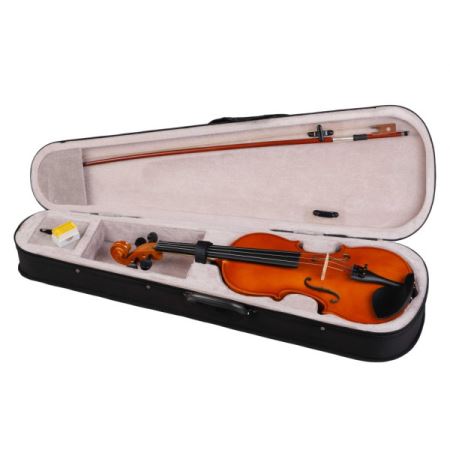 Foix FVP-01A-4/4 Скрипка с футляром и смычком