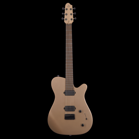 Covenant CUSTOM MODEL AE MGD Электрогитара