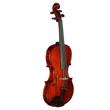 Strunal 333w-4/4 Скрипка