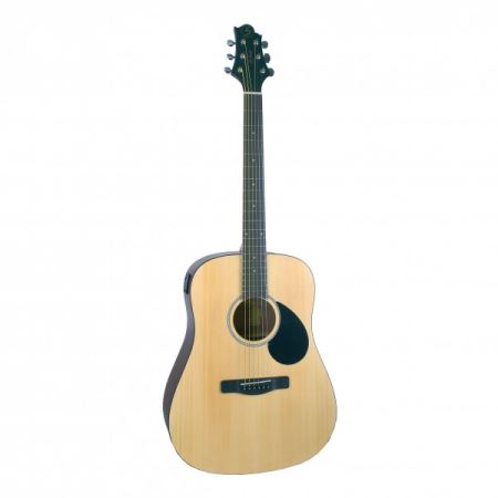 GREG BENNETT GD50T OPN Акустическая гитара