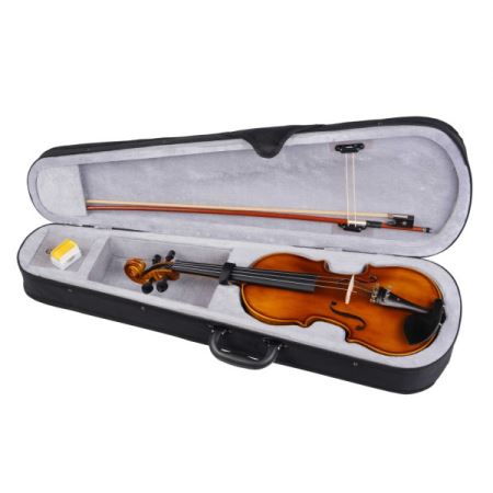 Foix FVP-04B-3/4 Скрипка с футляром и смычком