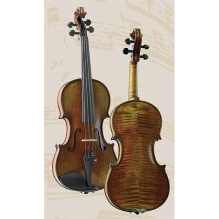 Gliga P-V044-F Professional Gama Special 4/4 Скрипка